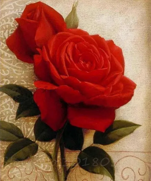 

Diamant 5D Diy Diamond Painting Cross Stitch Roses On The Table Needlework 3D Diamond Embroidery Full Diamond Decorative Sticker
