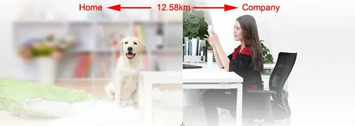 Pet Care