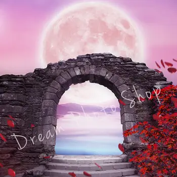 

full moon arch stone door flower backdrop Vinyl cloth High quality Computer print children kids photo studio background