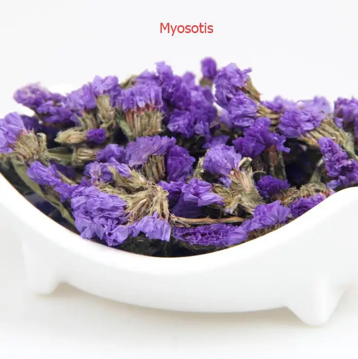 myosotis