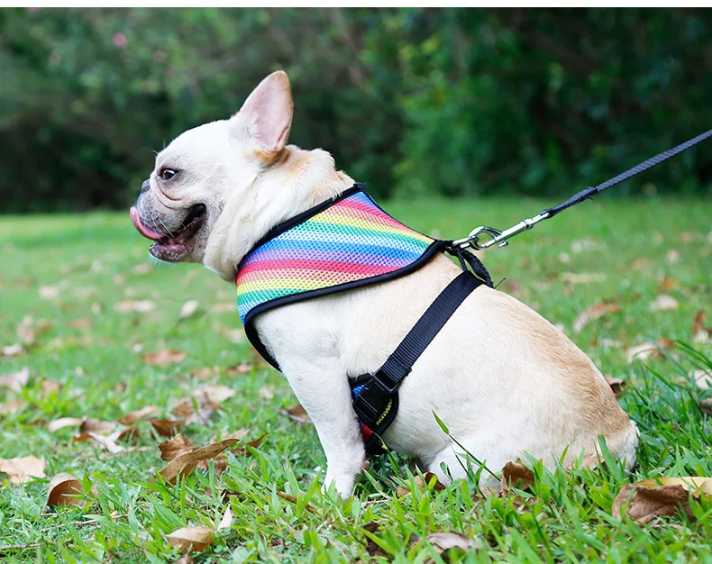 Dog Harness (20)