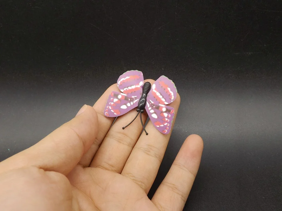 I247-Butterfly (3)