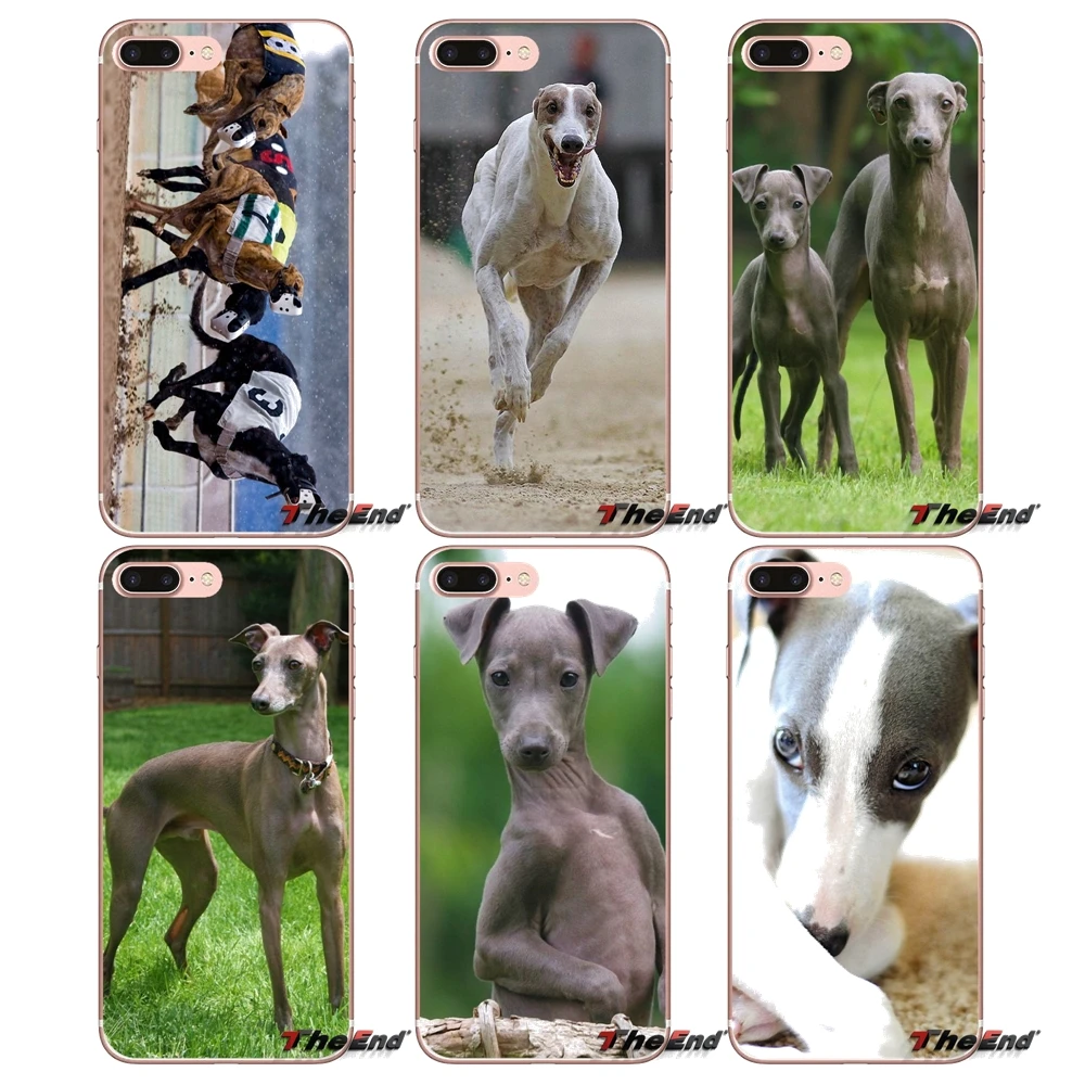 

For iPhone X 4 4S 5 5S 5C SE 6 6S 7 8 Plus Samsung Galaxy J1 J3 J5 J7 A3 A5 2016 2017 galgo greyhound puppy Dog Pets Soft Case