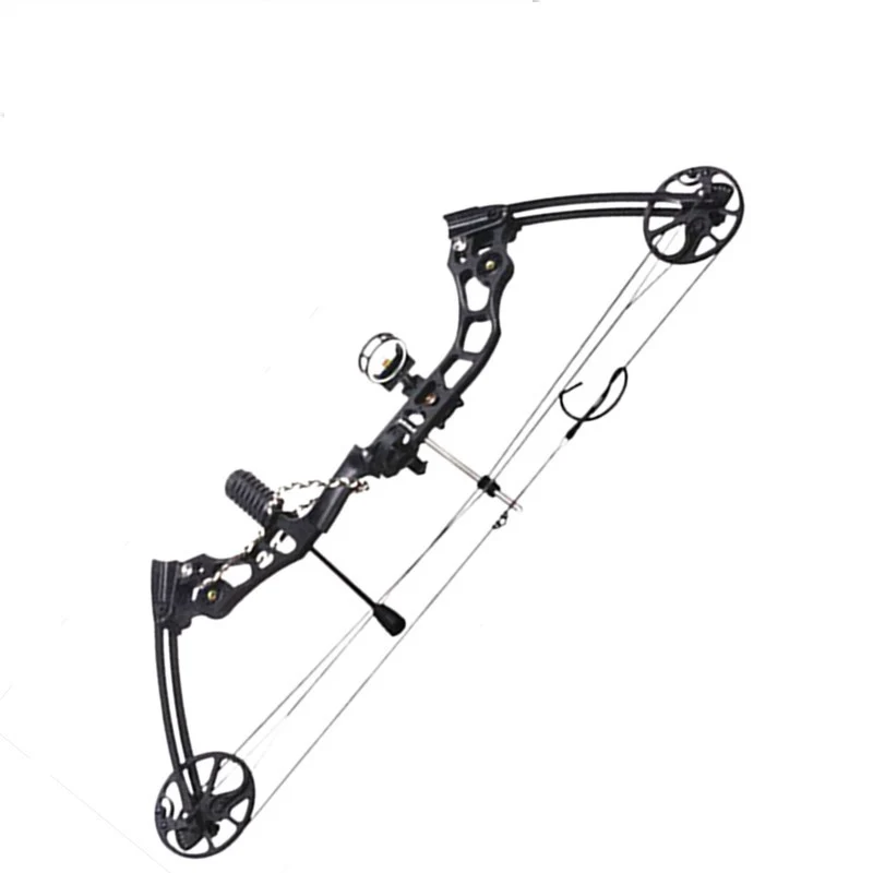 

35-70 lbs Powerful Compound Bow Aluminum Alloy Archery Bow Arrow for Outdoor Hunting Shooting