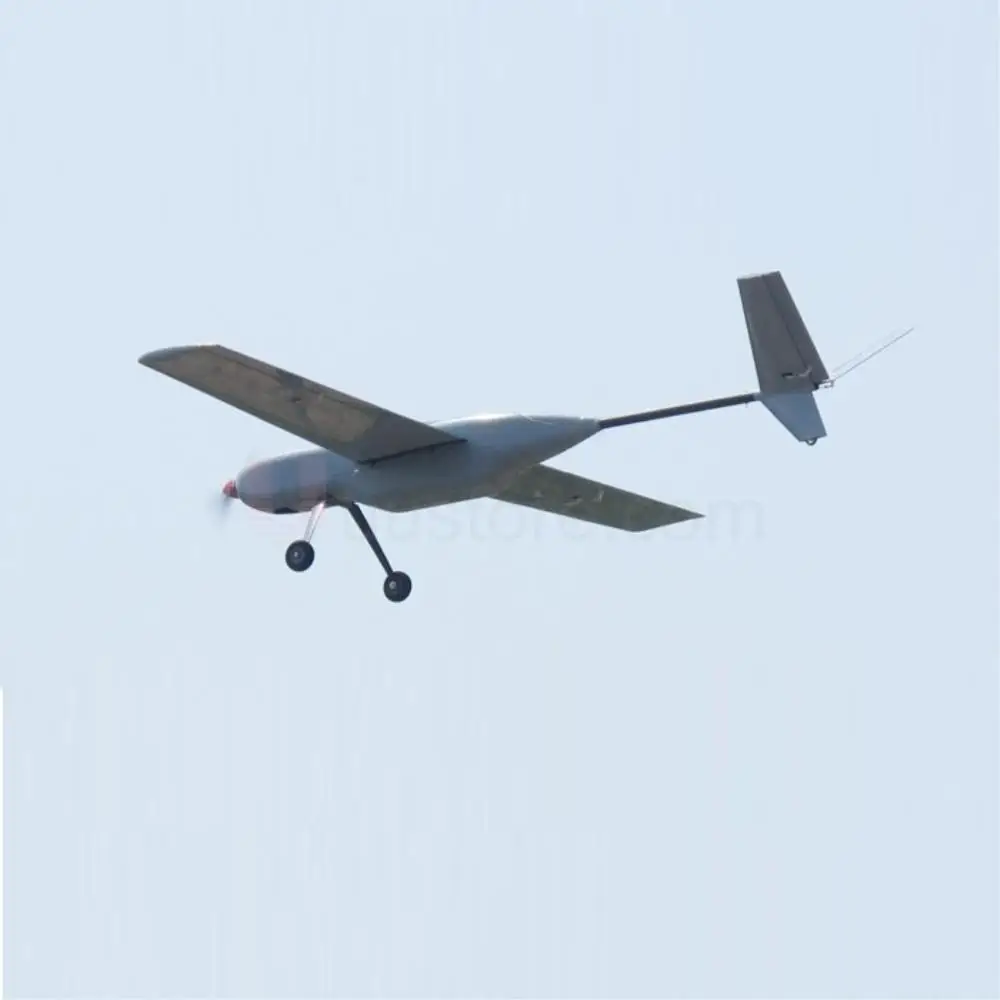 large fpv plane