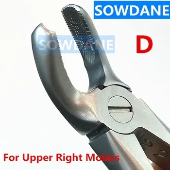 Stainless Steel Dental Orthodontic Surgery Forcep Dental Adult Tooth Extraction Plier For Upper Right Molar Dentist Tool medical tooth instrument material multifunction plier dental forcep set adult children mouth care animal tooth remove extraction