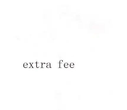 

extra fee,rush fee,custom made fee
