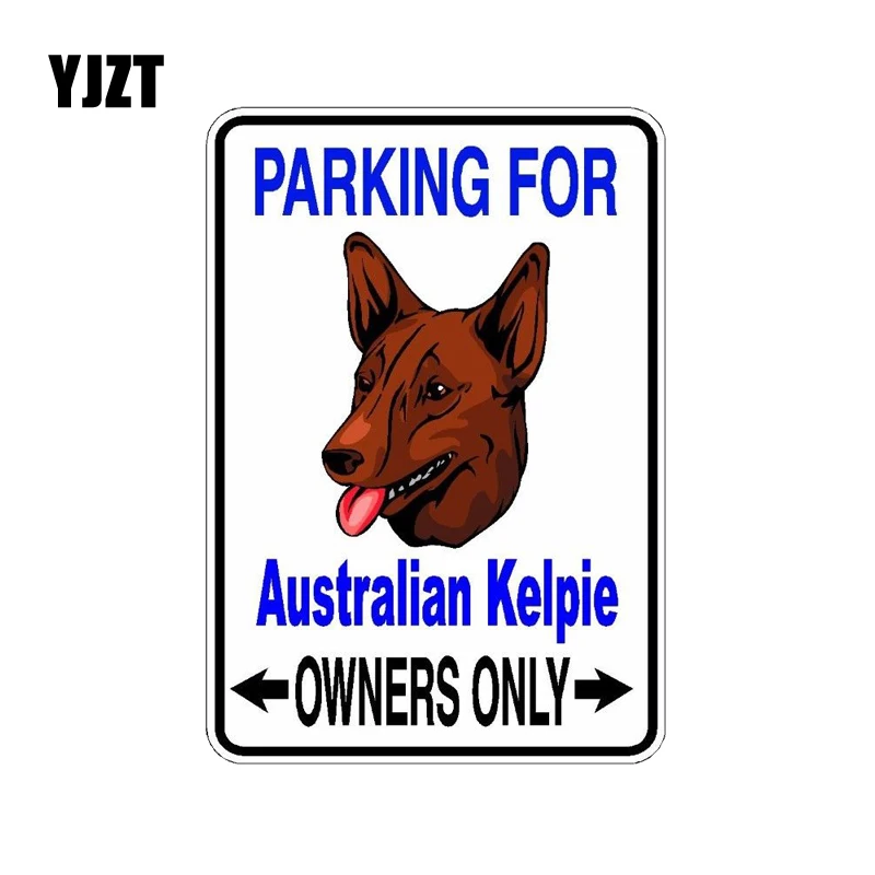 

YJZT 10*14.2CM Property Protected By Australian Kelpie Dog Car Decoration Bumper PVC High Quality Car Sticker C1-4528