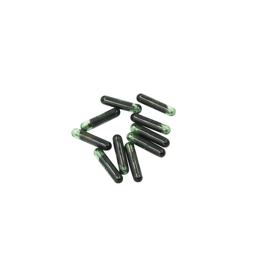 BC007 (4)