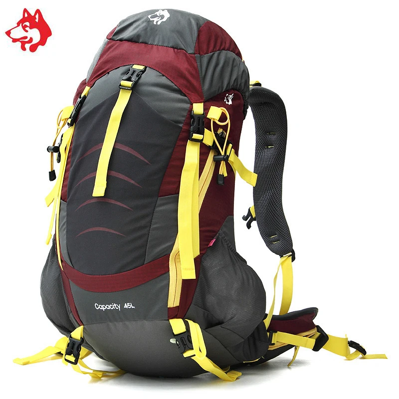 Famous Brand 45L Sporttas Outdoor Sports Walking And Hiking Backpacks Bag For Camping Travel Climbing Trekking Backpack Bags 
