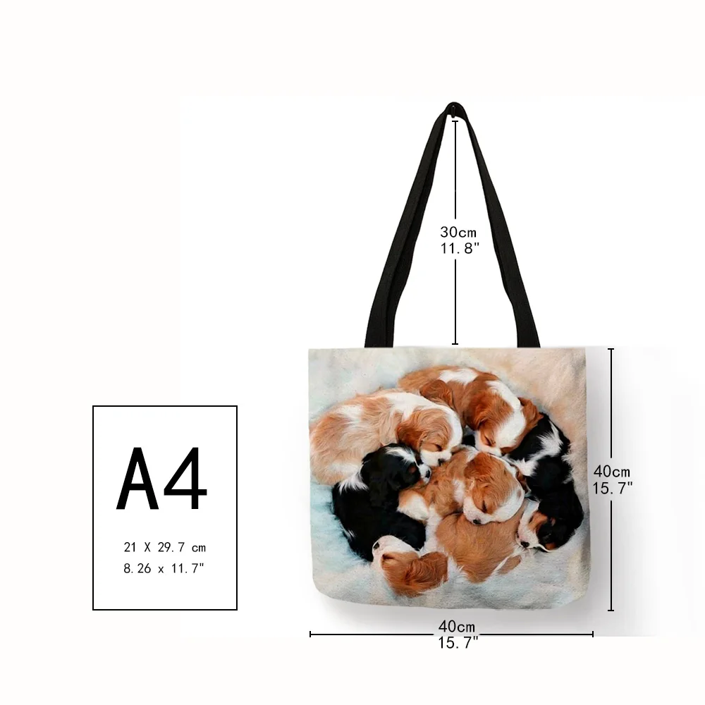 Personalized Casual Shoulder Bag for Women Charles Spaniel Painting Print Handbag Daily  School Travel Shopping Bags Tote