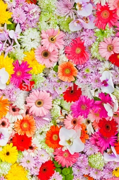 

Floral Bed Photography Backdrop colorful flower Custom Photo Prop backgrounds D-1637