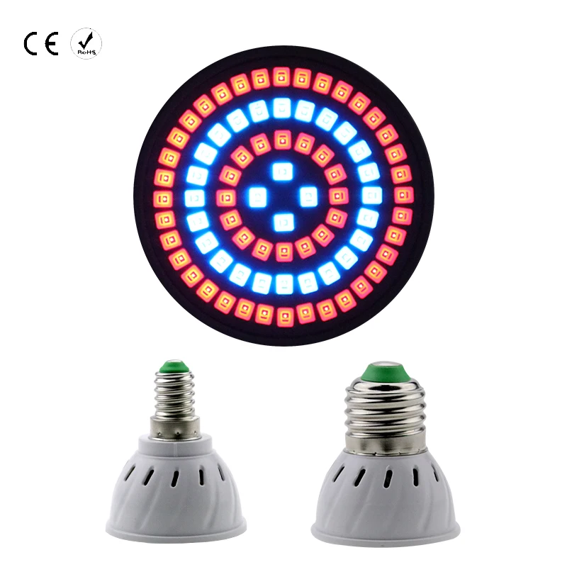 Crescente Lâmpadas conduziu a lâmpada 220 v Led Tipo : Smd 2835