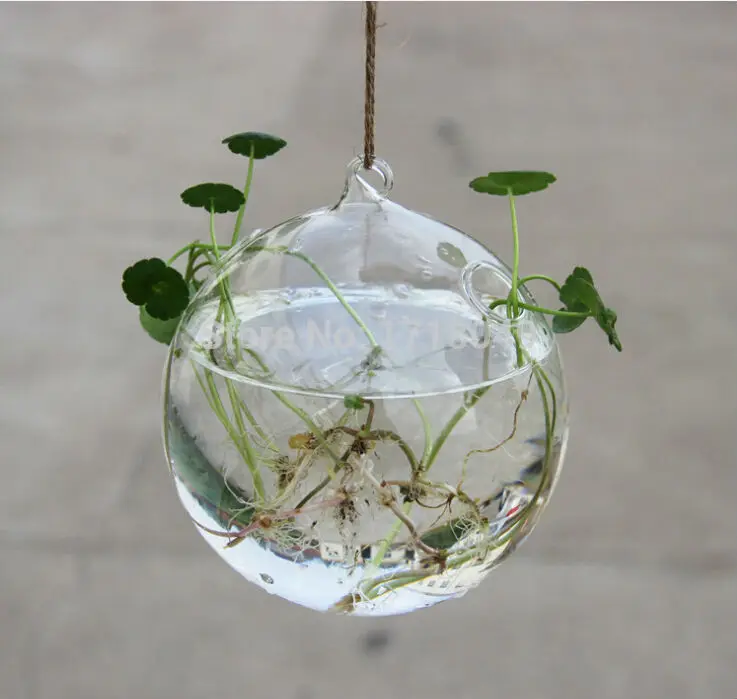 3PCS/set Dia 10cm blown glass globe hanging planter terrarium,water