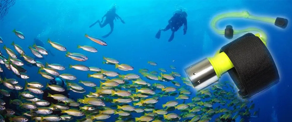 1200x500 5