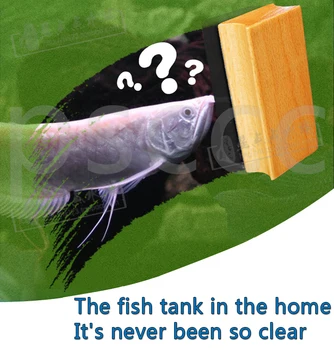 

Solid wood magnetic brush for coral aquariums.For 15-20mm glass aquarium