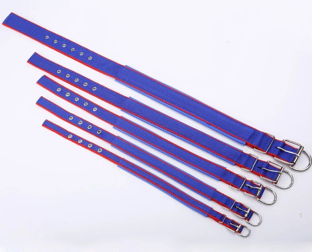 Adjustable Nylon Dog Collar 3