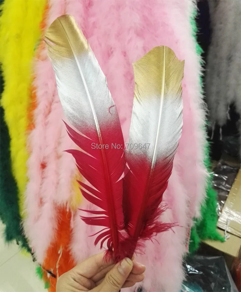 FMT0033 (1)