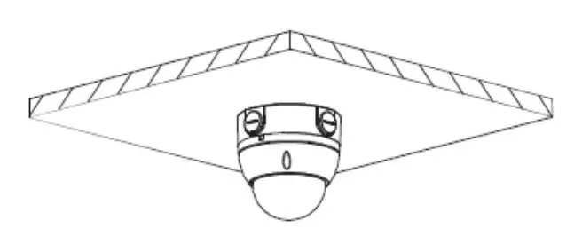PFA136 