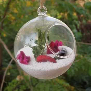 

Free Shipping 8pcs/pack Diameter=8cm Little Higher OpenGlass Terrarium Vase Hanging Ball Beautiful Wedding Decorative