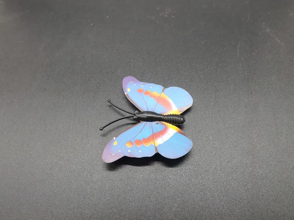 I266-Butterfly (7)