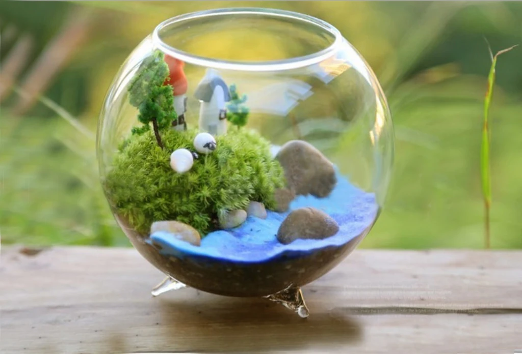 6pcs Home Decorative Ball Shape Clear Glass Display Vases Fish Bowl Air Plants Hydroponic Pot Terrarium DIY Micro Landscape Tool