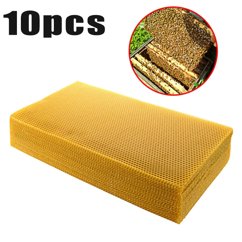 10 шт. соты для пчеловодства 200*415 мм Apis Mellifera Ligustica гребень основа соты инструмент пчеловода высокого качества
