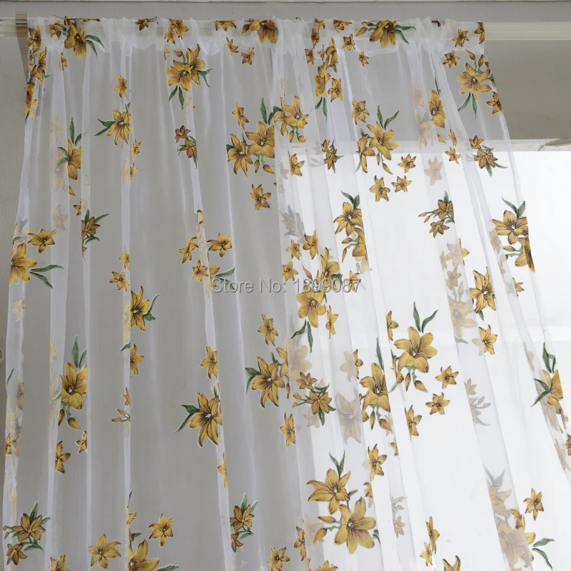 curtain 2.jpg