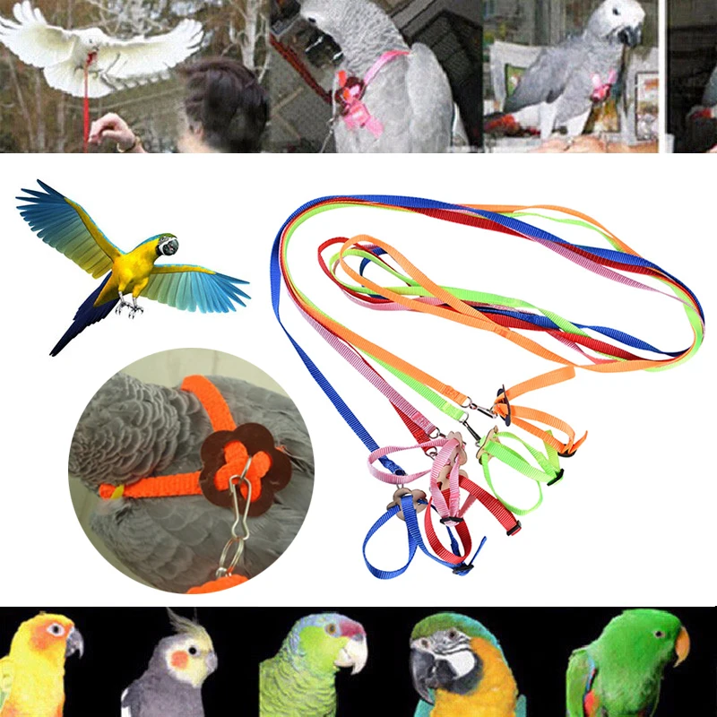 

1.2M Colorful Parrot Train Leash 1Cm Wide Adjustable Polyester Harness Anti Bite Rope For Bird Small Pet Products