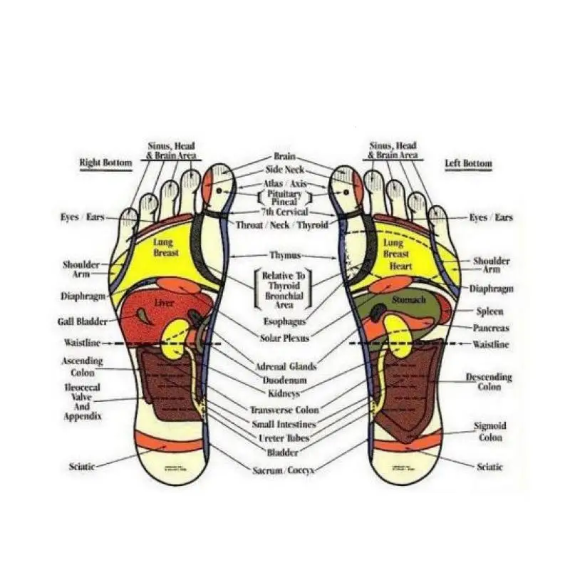Healthy Tourmaline Shoe Insole Chinese Medicine Magnetic Therapy Foot Massage Acupuncture Treatment Orthotic Flat Foot Insole U2 Healthy Tourmaline Shoe Insole Chinese Medicine Magnetic Therapy Foot Massage Acupuncture Treatment Orthotic Flat Foot Insole U2