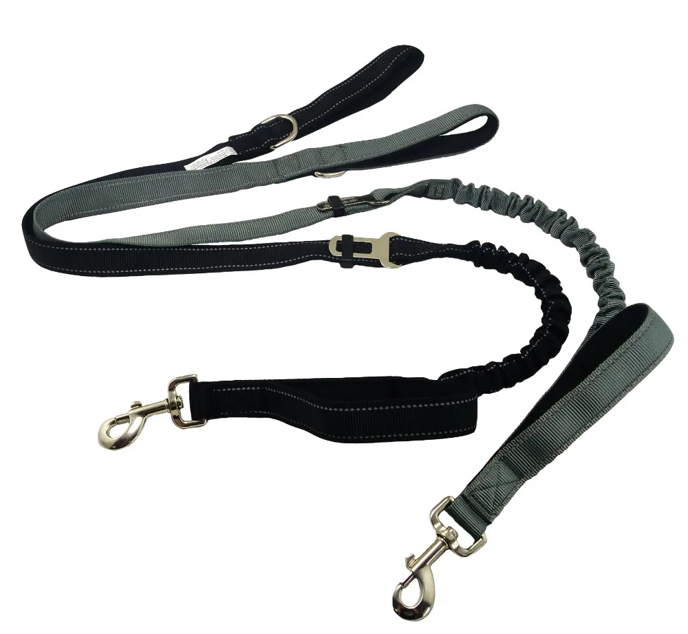 dog BUNGEE leash