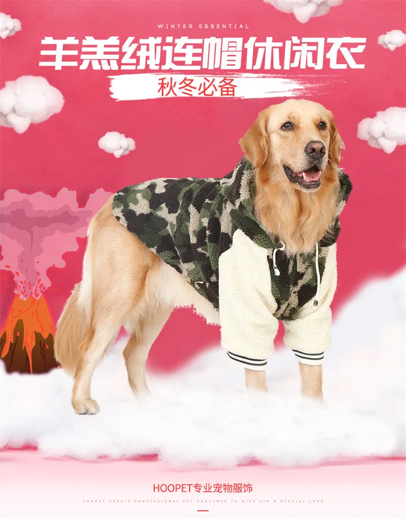 pet 02