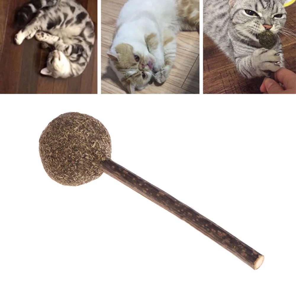 Cat Toys Catnip Lollipop Ball Teeth Cleaning Snack Stick Interactive Funny Play Supplies C42 | Дом и сад