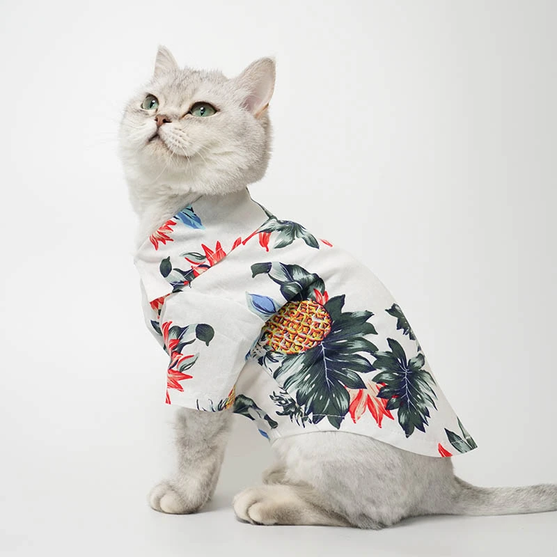 cat clothes aliexpress