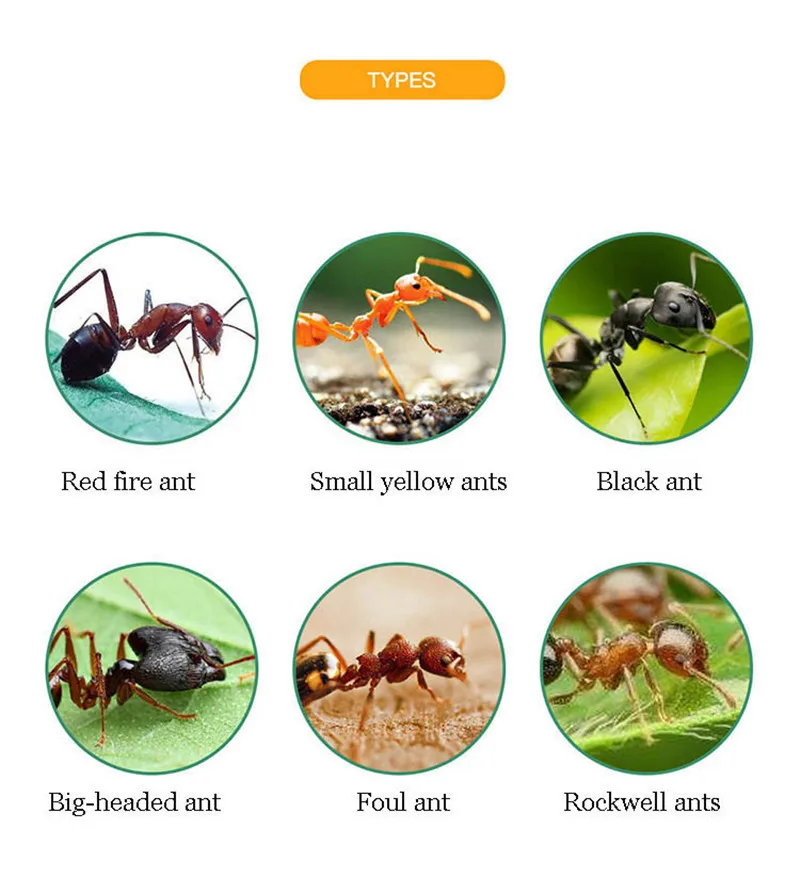 50 шт./партия сильная прозрачная муравьиная приманка желтая черная белая термита муравьи лекарственные эффекты для лекарственных средств уничтожают препараты, убивают гнезда муравья порошкообразная приманка