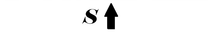 S 19