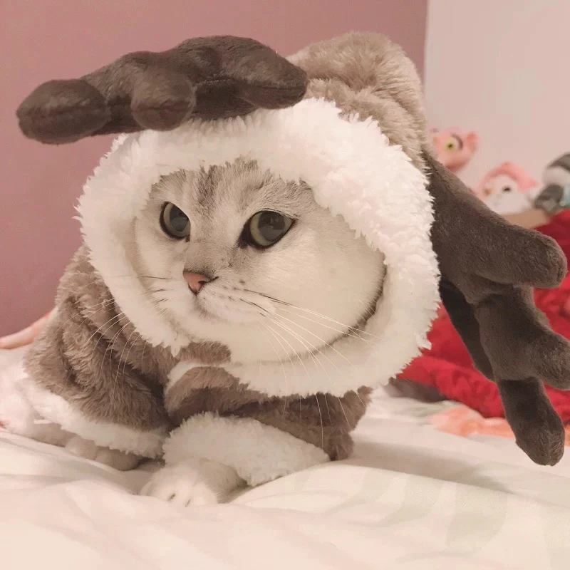 Зимняя одежда для кошек, теплый флисовый костюм для питомцев, для маленьких кошек, Комбинезоны для котят, одежда для кошек, пальто, куртка для домашних животных, одежда для собак
