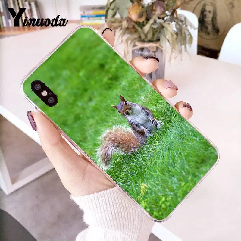 Yinuoda для iPhone 7 Чехол мобильного телефона с изображением белки пить воду зеленая
