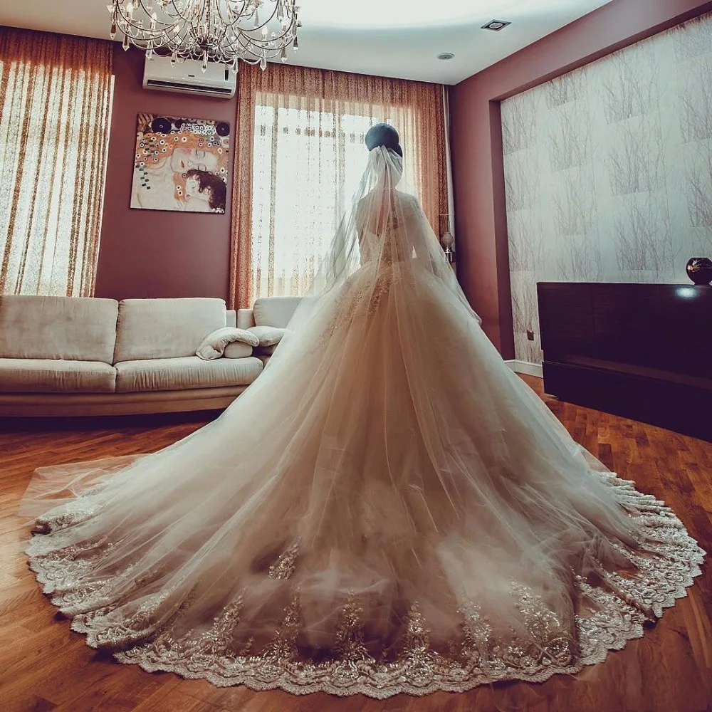 Vestidos de novia длинное свадебное платье с рукавами Vestido Longo свадебные платья, Аппликации изготовленный на заказ Тюль robe de mariee