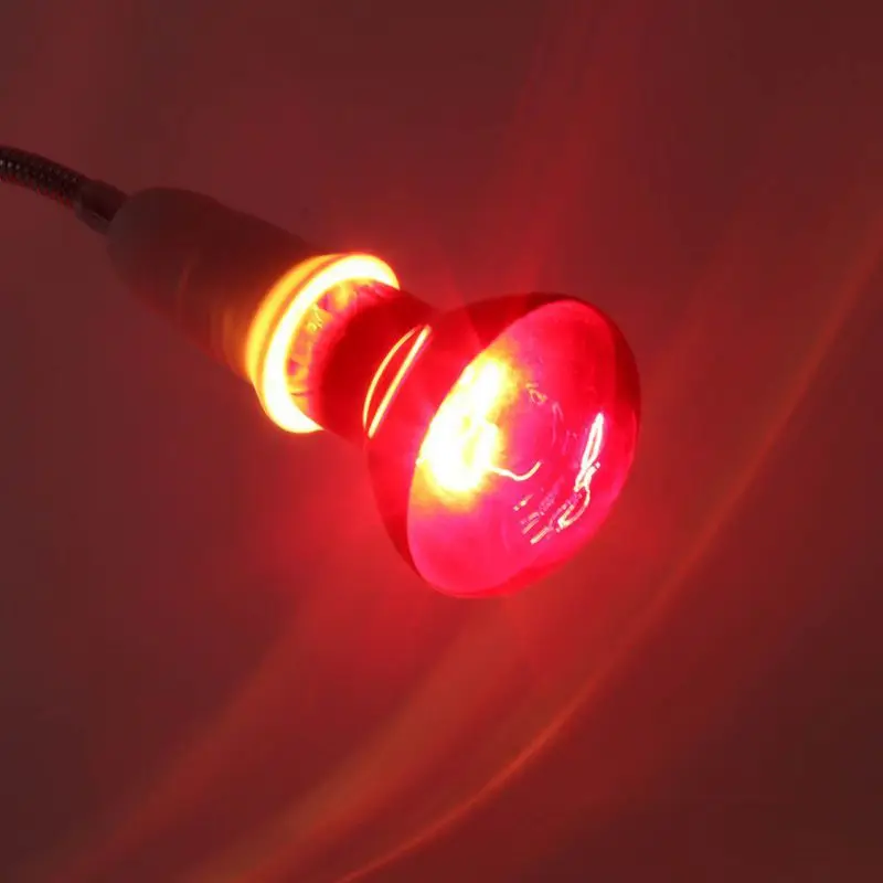 Lâmpadas Led e Tubos basking spot lâmpada réptil lâmpada Temperatura de Cor : 2700k