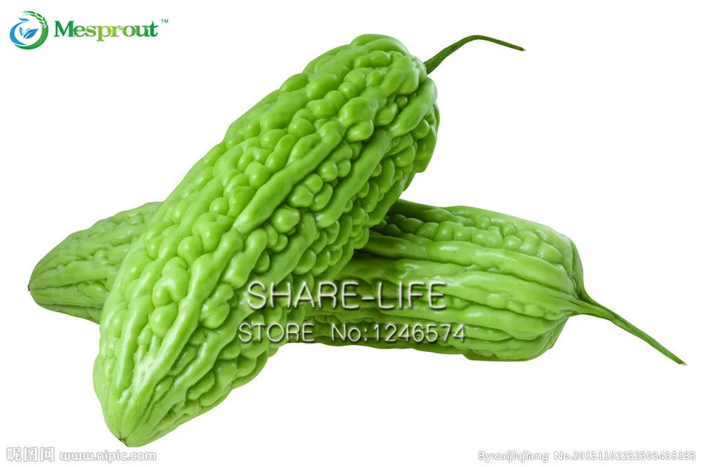 

10PCS/PACK Balsam Pear Bonsai Bitter Gourd Bonsai Bitter Melon Momordica Charantia Vegetables Bonsai