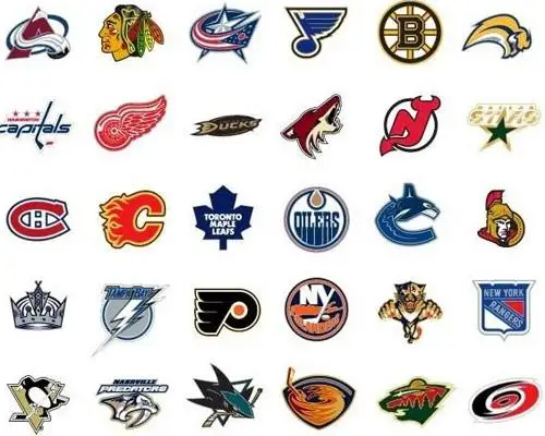 High Quality 3FTx5FT NHL Flag and Banner National Hockey League 100D ...
