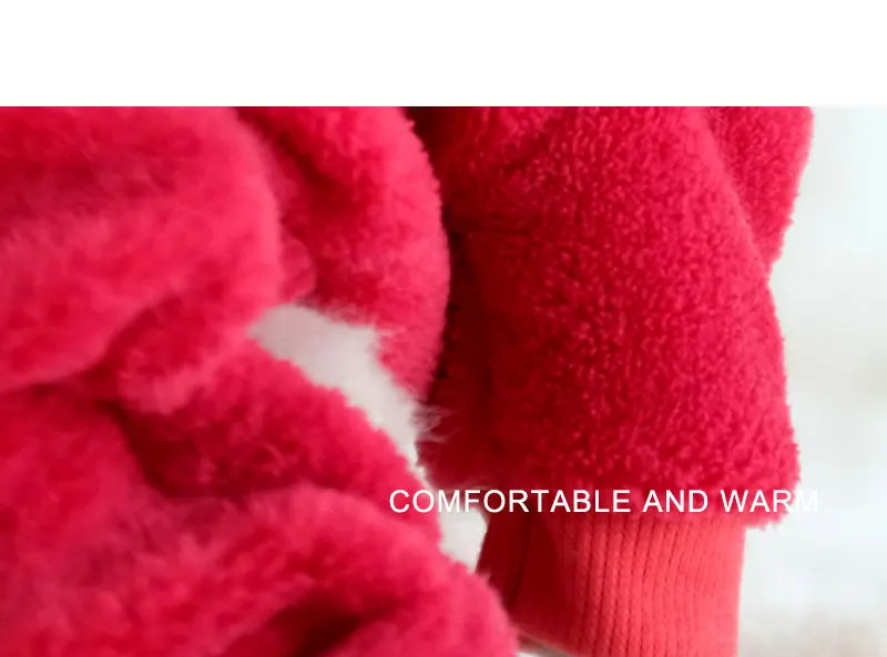 dog jackets outdoor