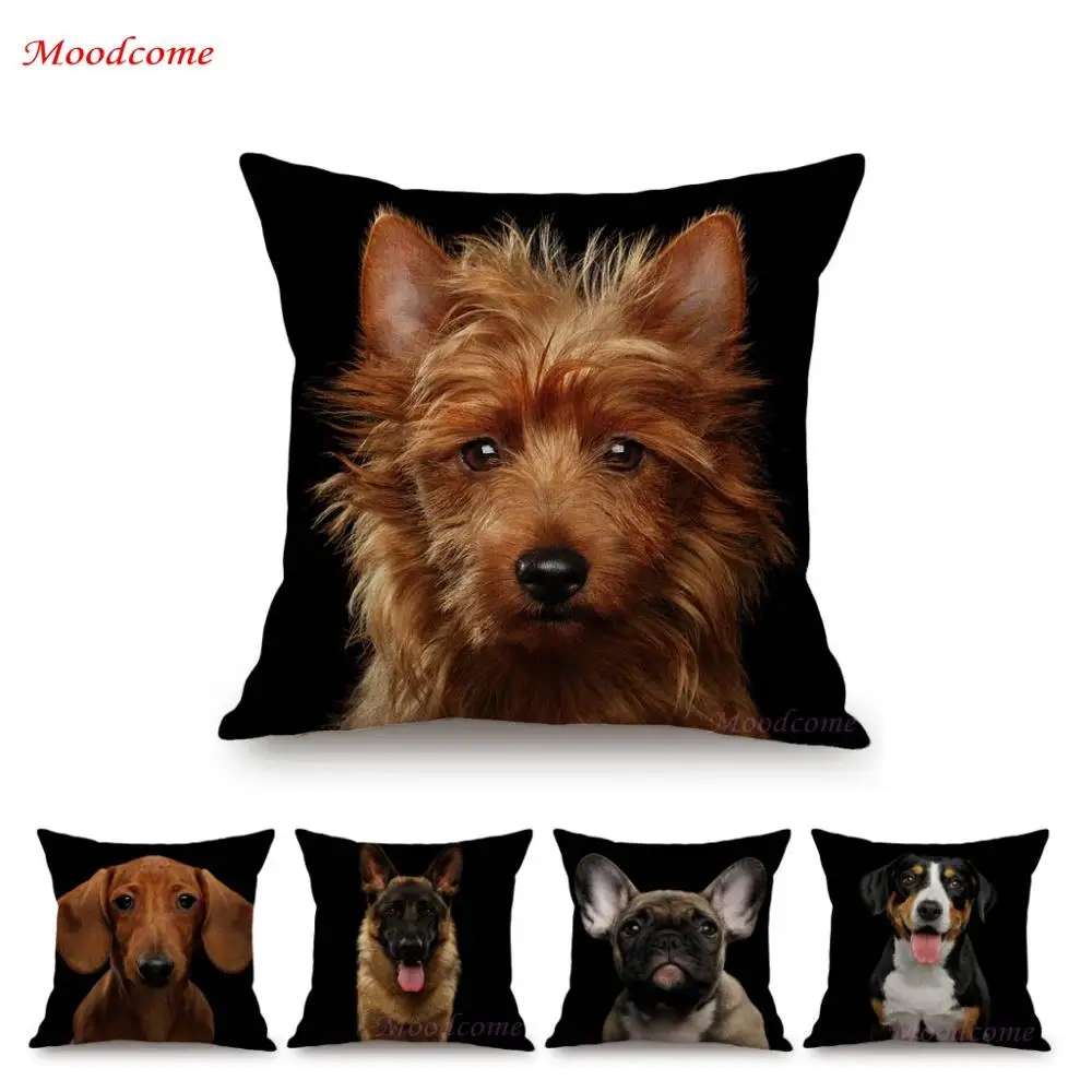 

Black Background Dog Puppy Portrait Vizsla Husky Shepherd Shibu Cute Sofa Pillow Case Home Decorative Cotton Linen Cushion Cover