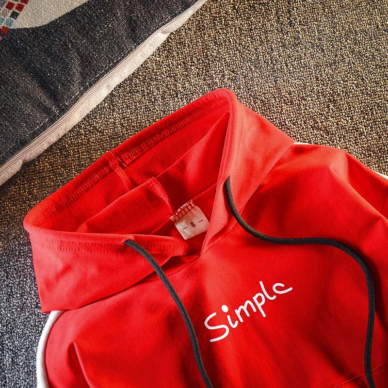 2019 Autumn Baby Boys Clothing Sets Fashion Girls Hooded Sweatshirt And Pants Suit Children Clothing Tracksuit Kids Clothes Set (4)