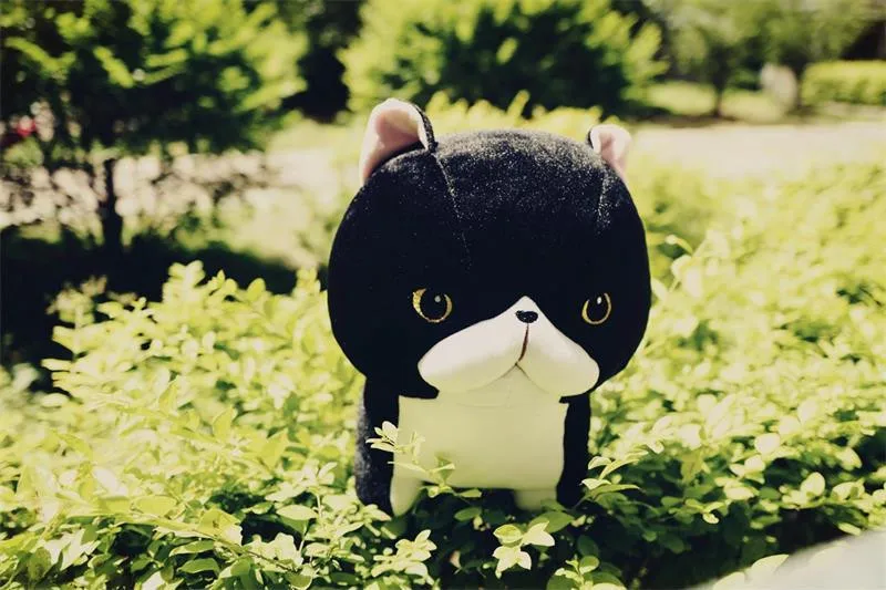 plush toys (6)