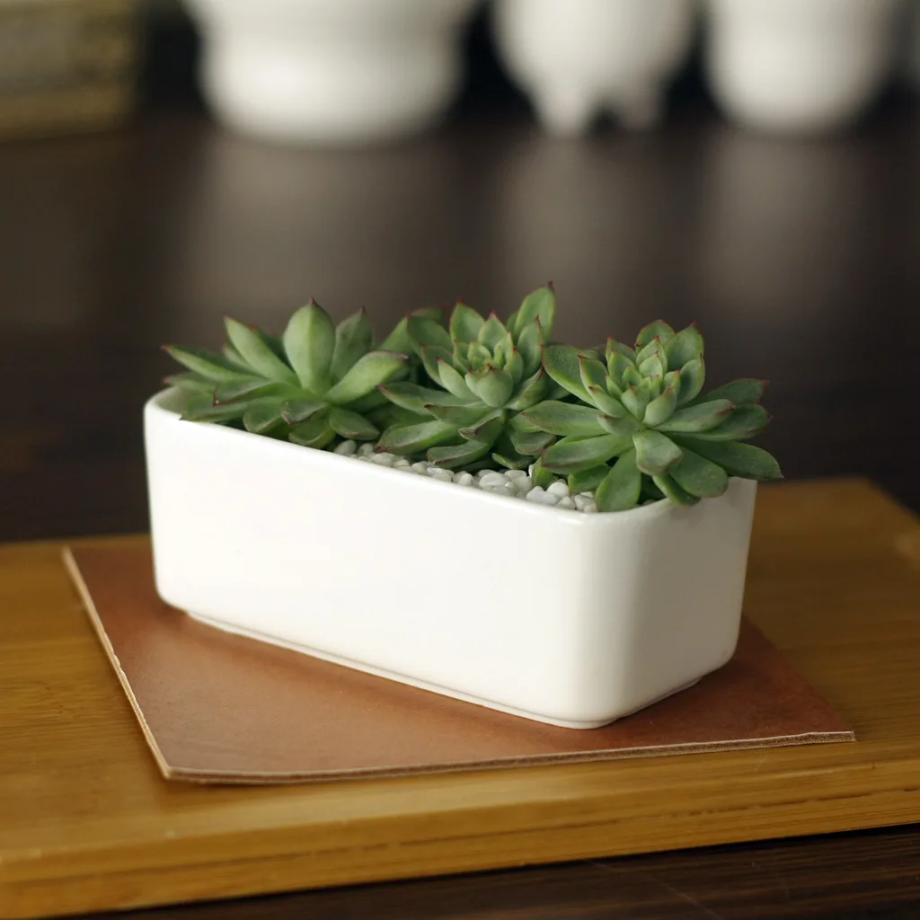 

11cm*5.5cm*4.3cm Creative simple white mini potted succulents small rectangular ceramic pots