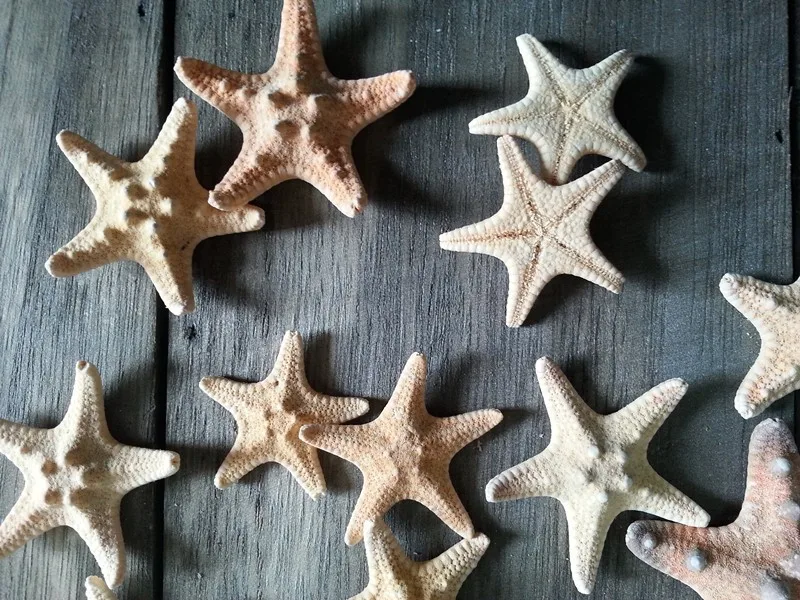 5-9 см натуральный сухой Bun star fish, идея для украшения дома и украшения вечерние