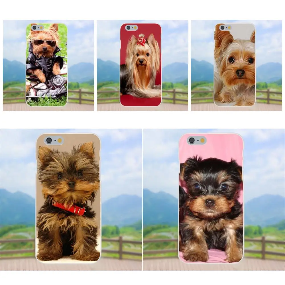

Golden Yorkshire Terrier Dog Puppy For Huawei Honor 4C 5A 5C 5X 6 6C 6A 6X 7 7X 8 9 V8 V10 Y3II Y5II Y6II G8 P7 Play Lite