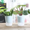 Garden Supplies